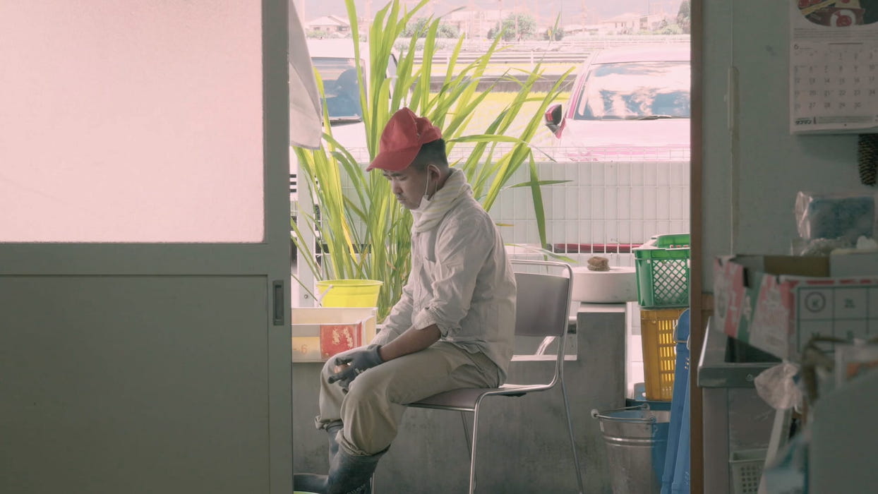 照片部分-富士山棉花田照片5