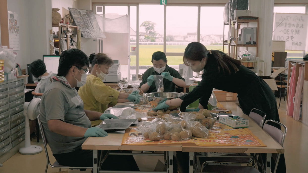 照片部分-富士山棉花田照片6