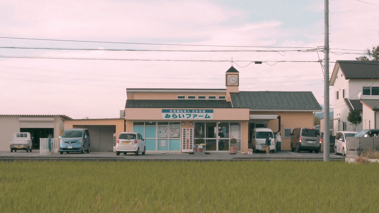 照片部分-富士山棉花田照片7