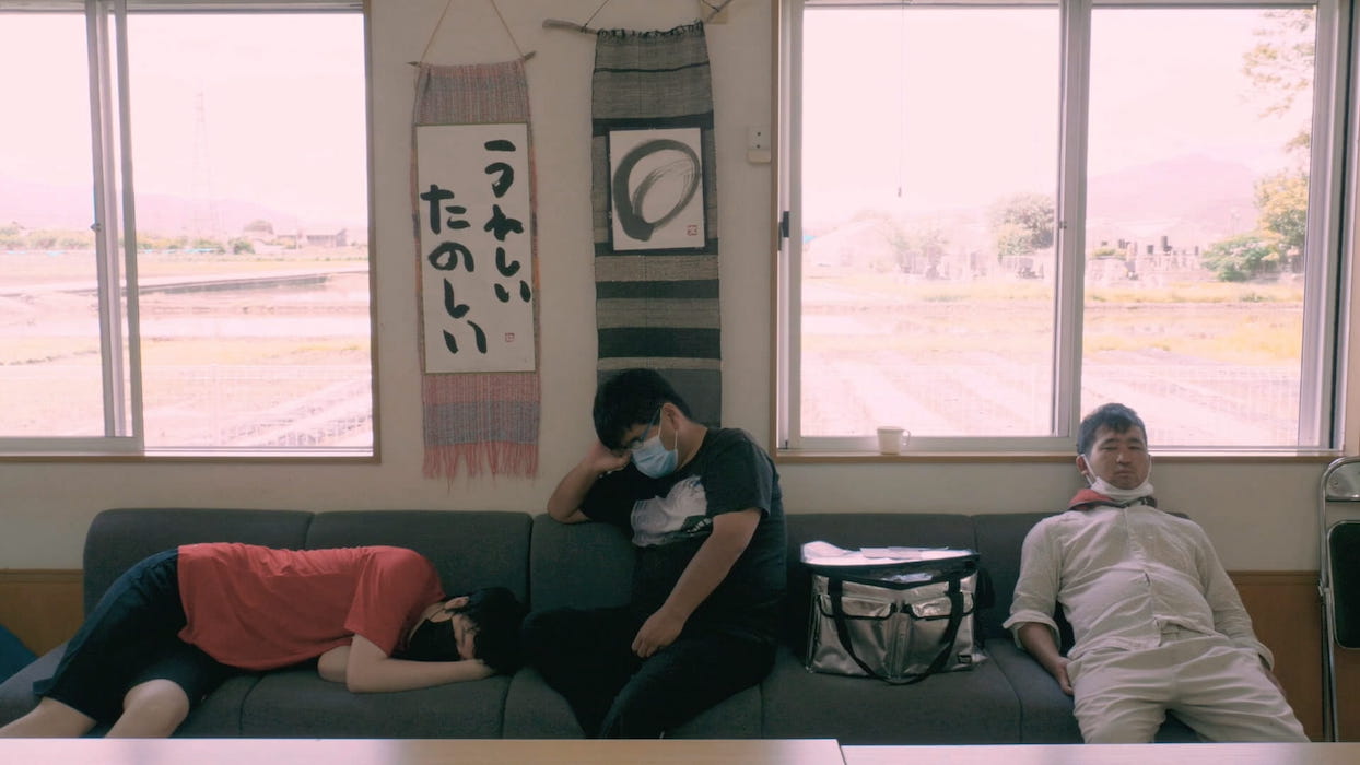 照片部分-富士山棉花田照片8